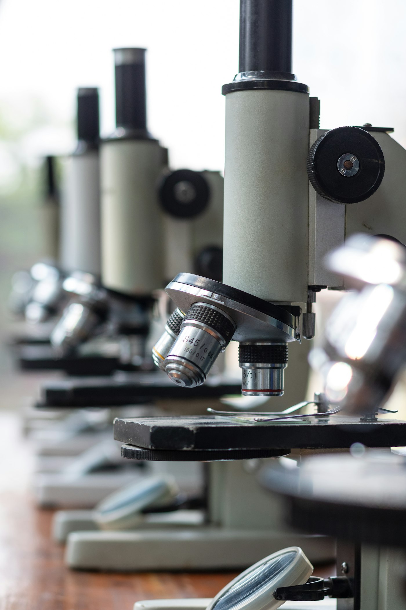 Row of laboratory microscopes in a research facility